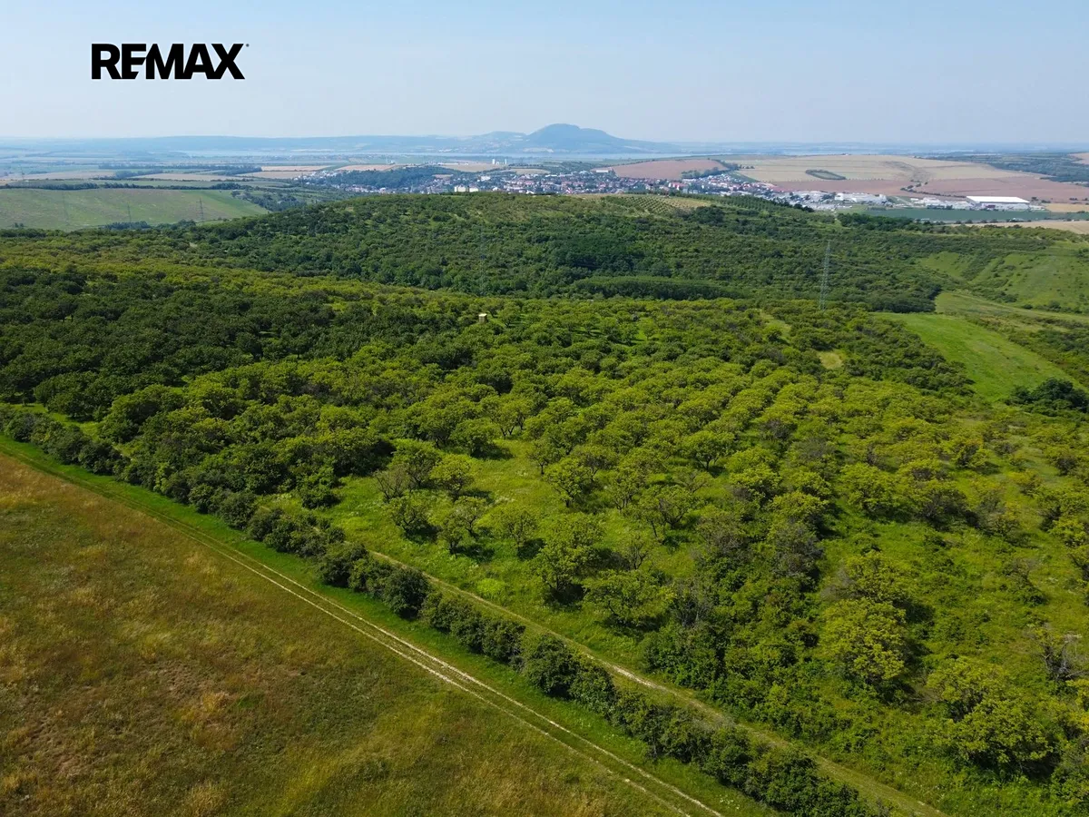 Prodej sadu, vinice 3780 m²
